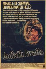Ожидание Голиафа (1981)