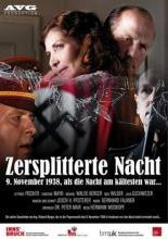 Zersplitterte Nacht: 9. November 1938, als die Nacht am kältesten war... (2013)