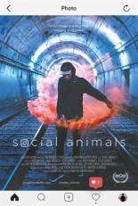 Социальные животные (2018)