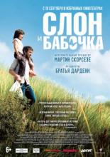 Слон и бабочка (2017)