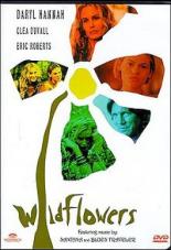 Полевые цветы (1999)