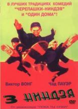 Три ниндзя (1992)