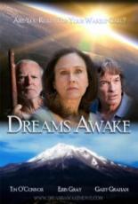 Dreams Awake (2011)