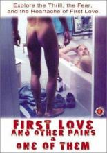 Первая любовь и другие усилия (1999)