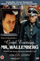 Добрый вечер, господин Валленберг (1990)