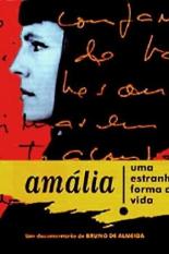 Амалия — такая вот странная жизнь (1995)
