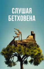 Слушая Бетховена (2016)