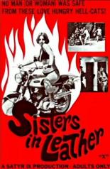 Сестрички в коже (1969)